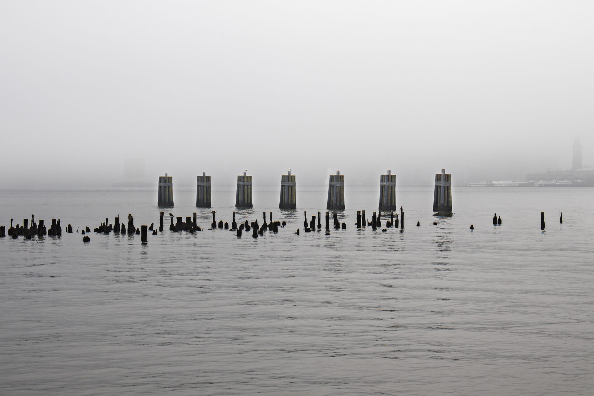 Buoys on a foggy river