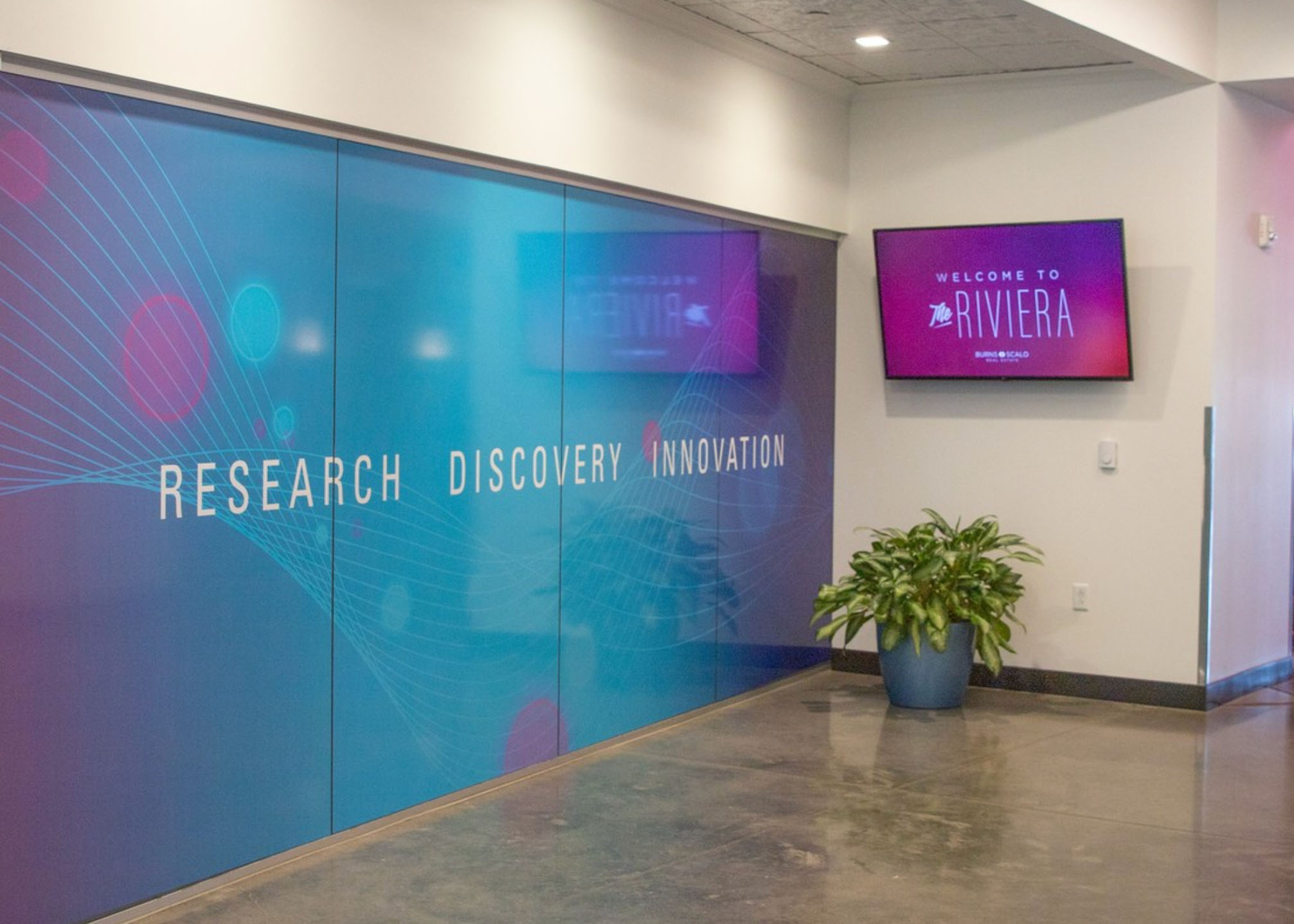 A modern hallway with a blue gradient wall displaying the words "Research Discovery Innovation." A potted plant sits on the floor near a flat screen showing a purple "Welcome to Riviera" graphic.