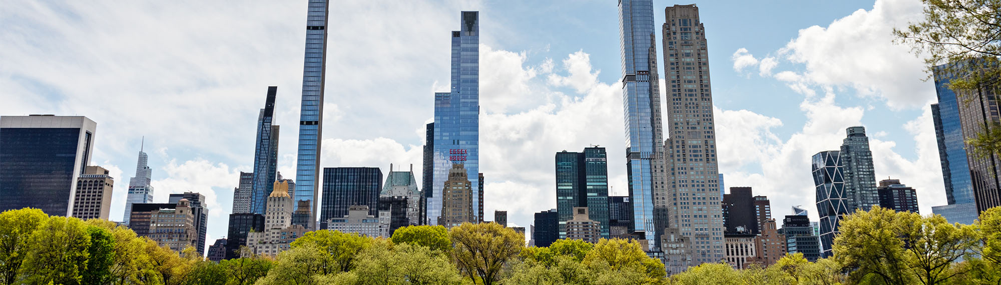 Single Property Real Estate Websites Cover Image: A scene of NYC Skyline from Central Park