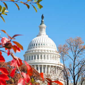 The U.S. Capitol dome in Washington, D.C., is seen framed by colorful autumn leaves and bare branches against a clear blue sky.