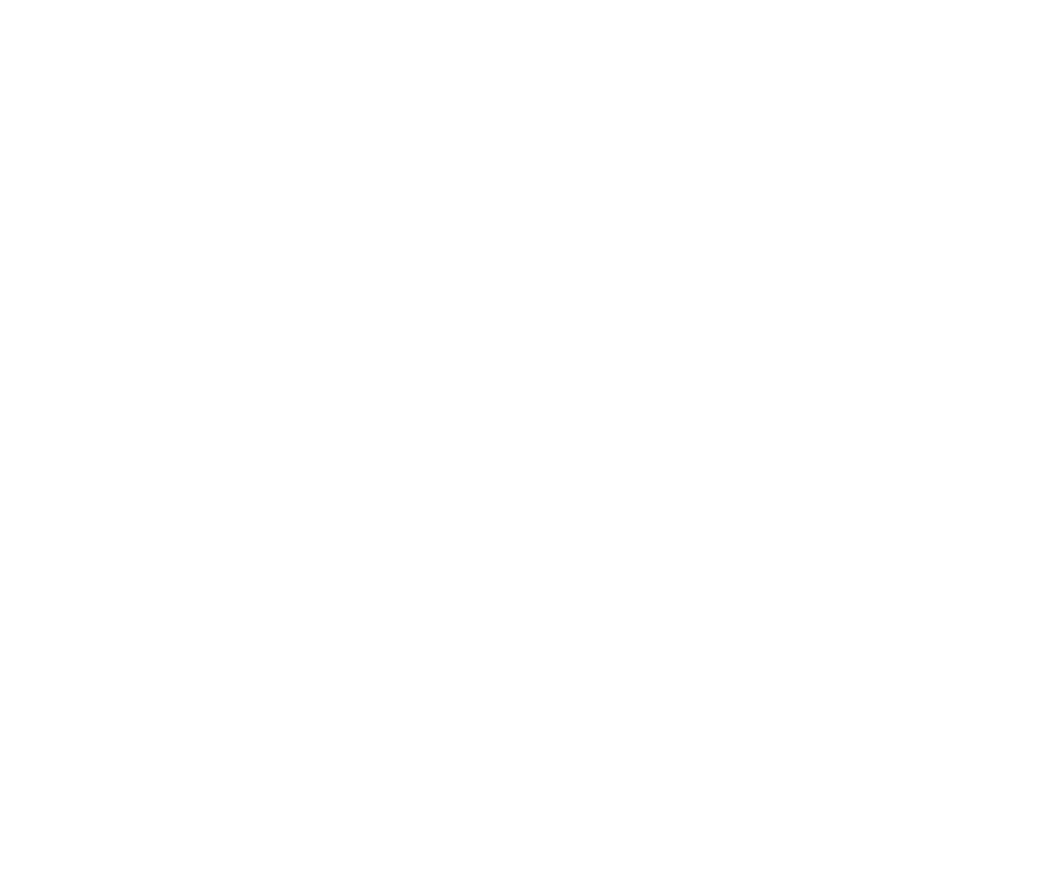 The image is completely blank with a plain white background and no visible objects, text, or elements.